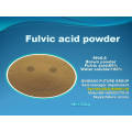 Fulvic Acid Powder with Competitive Price